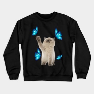 Cute White Cat With Butterfly Cat adoption For Cat Lover Crewneck Sweatshirt